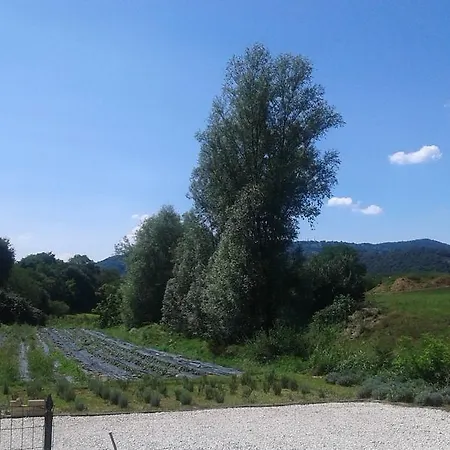 Gospodarstwo agroturystyczne Terra E D'iseo Franciacorta Paratico