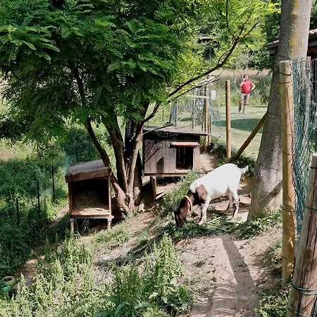 Alloggio per agriturismo Terra E D'iseo Franciacorta