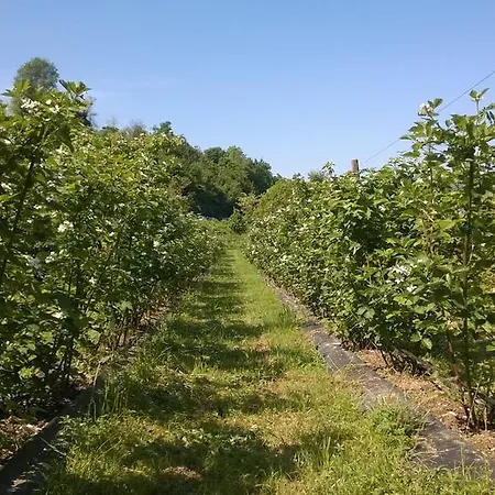 Terra E D'iseo Franciacorta Gospodarstwo agroturystyczne Paratico