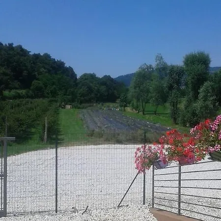 Terra E D'iseo Franciacorta * Paratico