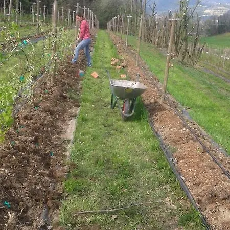 Gospodarstwo agroturystyczne Terra E D'iseo Franciacorta